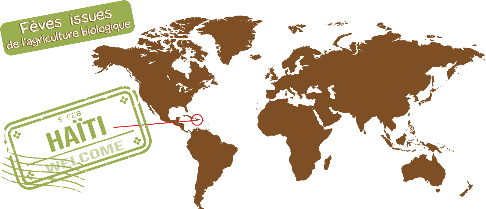 Origine de nos fèves de cacao pour notre chocolat bean to bar Haït